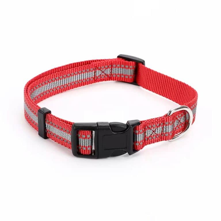 female dog collars