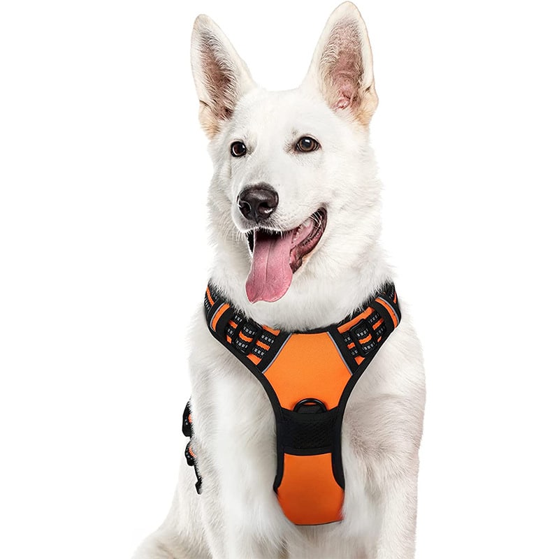 customized small dog harness