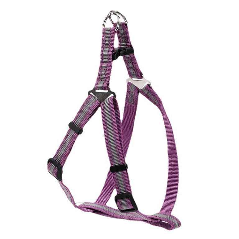 dog harness for small dogs