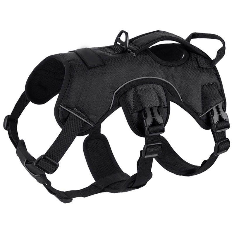 dog harness with handle