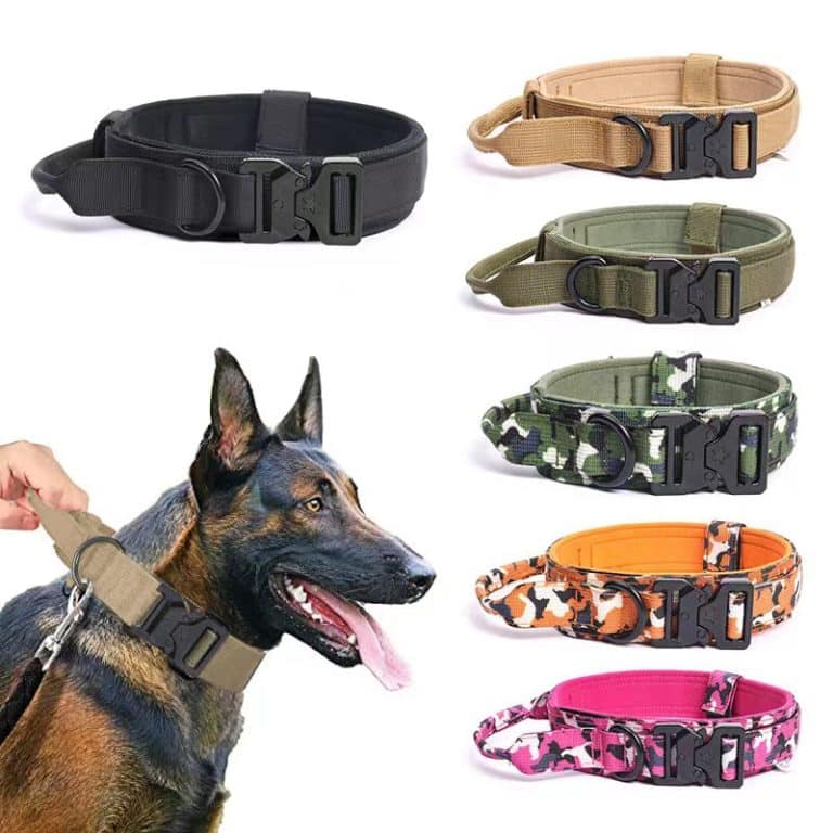 large dog collars