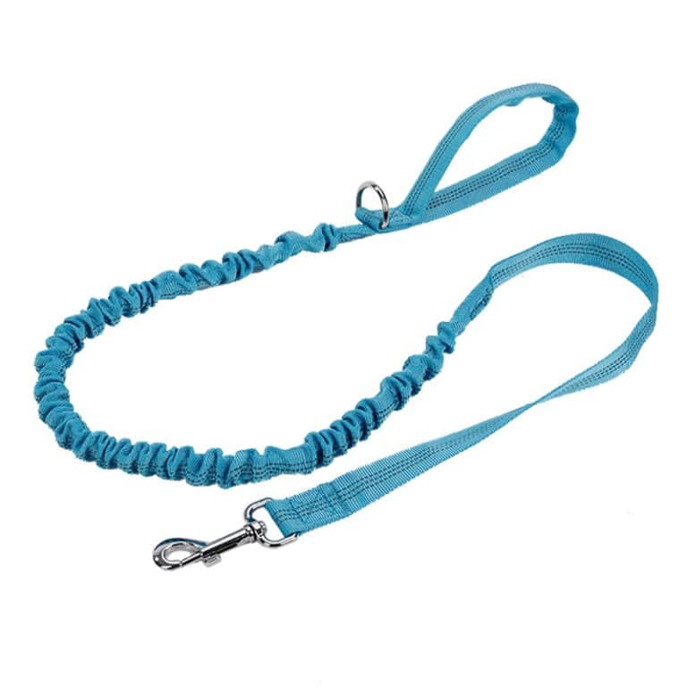 long retractable dog leash