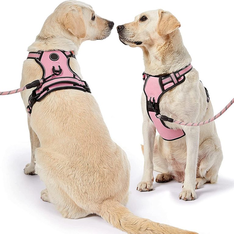 pink dog harness