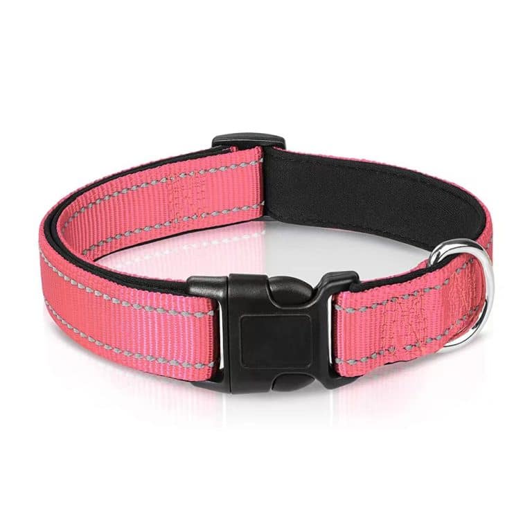 small dog collar