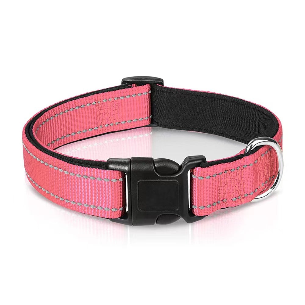 small dog collar